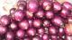 Is It Safe To Eat Eggplant During Pregnancy?